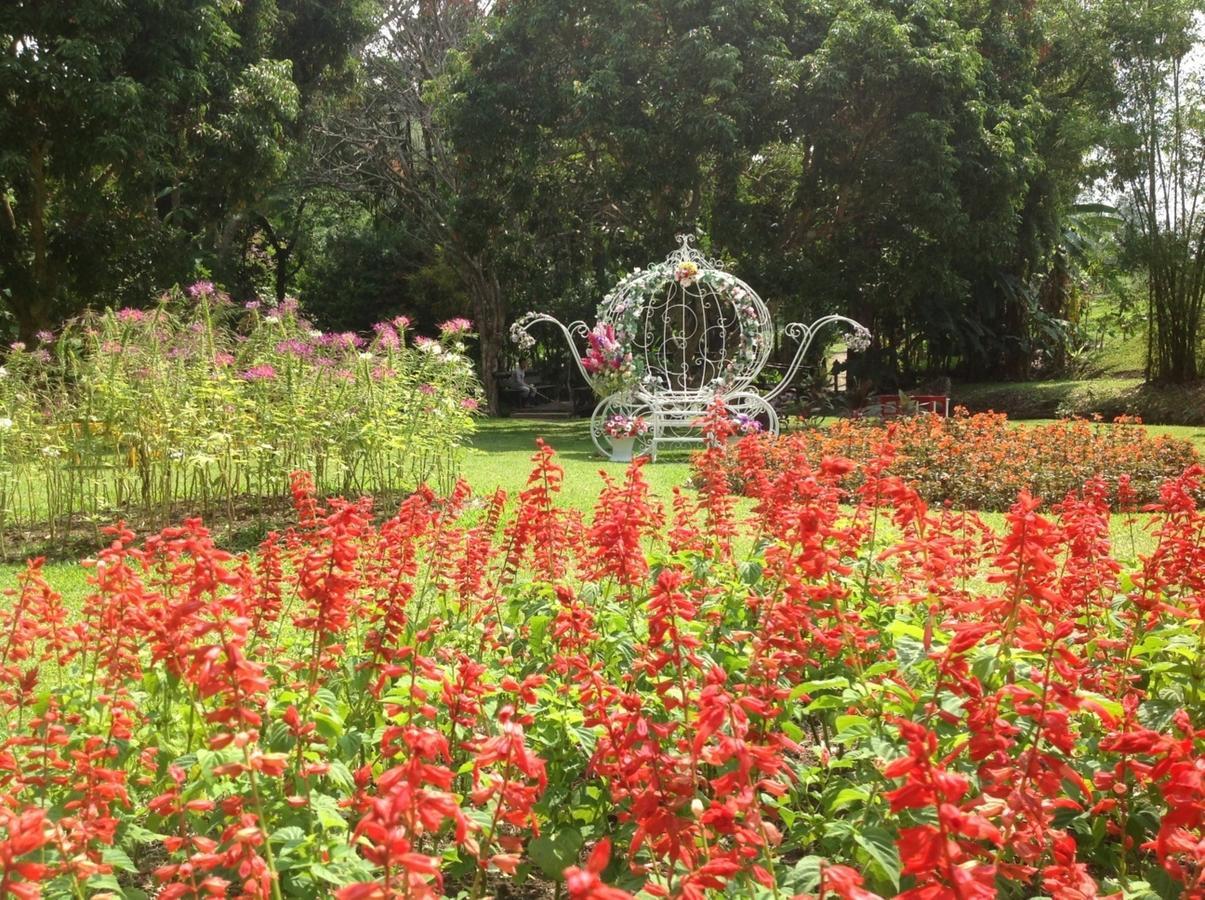Mae Sa Valley Garden Resort Čiang Mai Exteriér fotografie